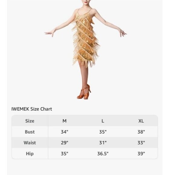 Women Sequins Fringe Dress Flapper Latin Dance Costume Size Medium - Picture 6 of 10